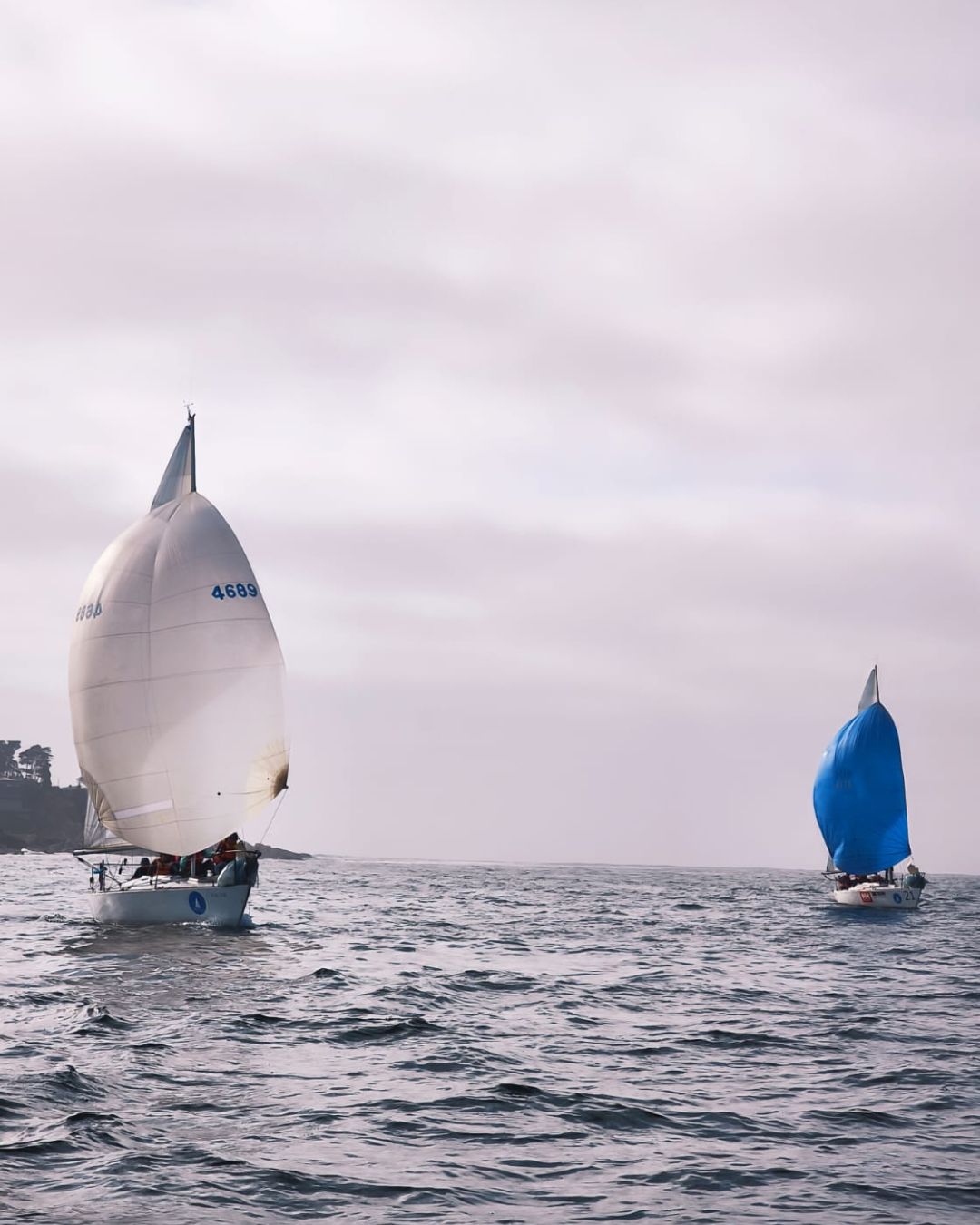 Taller 3 "Entrenamiento en Modalidad de Regata; J24"